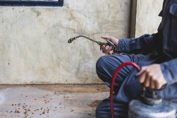 Best Pest Removal Services  in Springerville, AZ